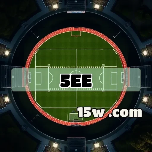 5ee.com: Conectando Jogadores e Aumentando a Diversão no Mundo dos Jogos